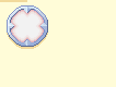 btn_sockety2.png